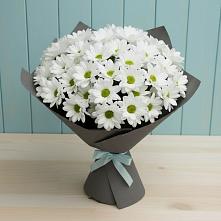 Букет белые хризантемы в Александровке Оренбургской области Букет цветов из:  Хризантемы в Александровке Оренбургской области