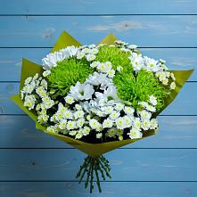 Букет скромность  в Александровке Оренбургской области Букет цветов из:  Хризантемы в Александровке Оренбургской области