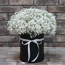 Цветочная композиция из Гипсофила в шляпной коробке в Александровке Оренбургской области