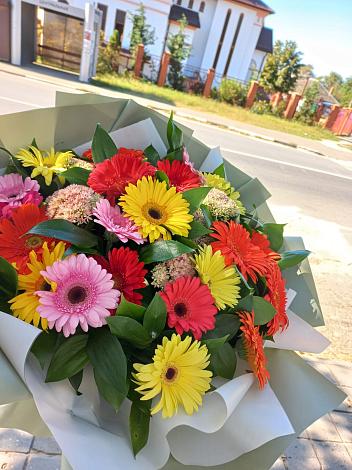 Букет цветов из: Герберы в Александровке Оренбургской области